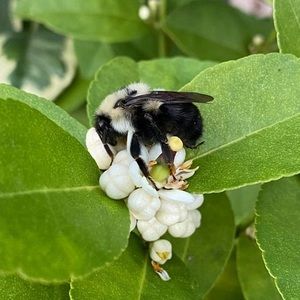 Meet your Posher, Teri